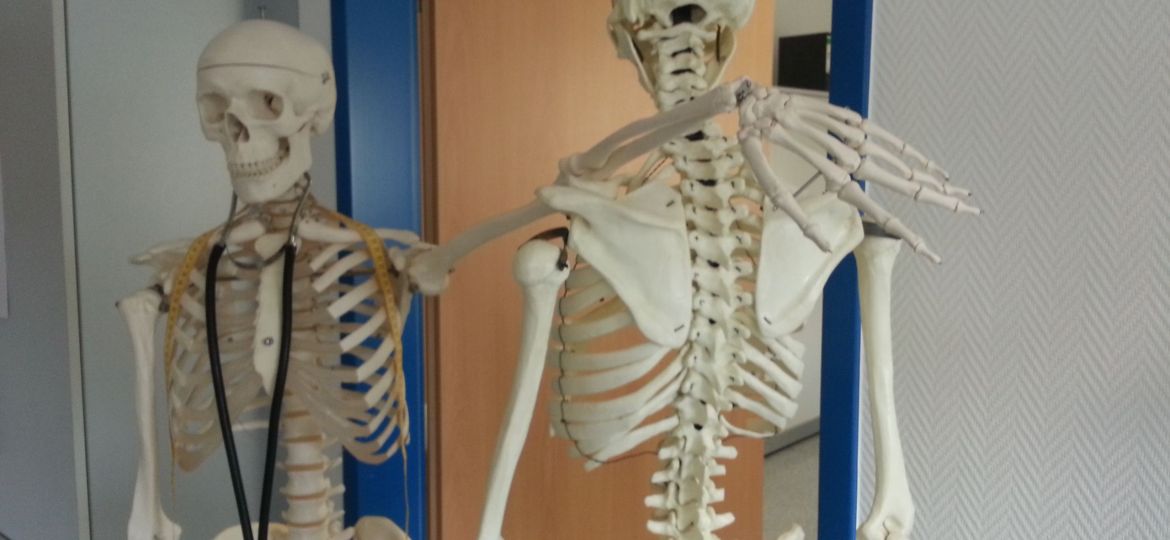 karinkarin-skeleton-645528