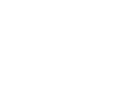 DVG Logo